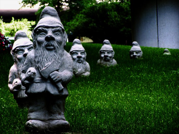 "It's Good to be Gnome"